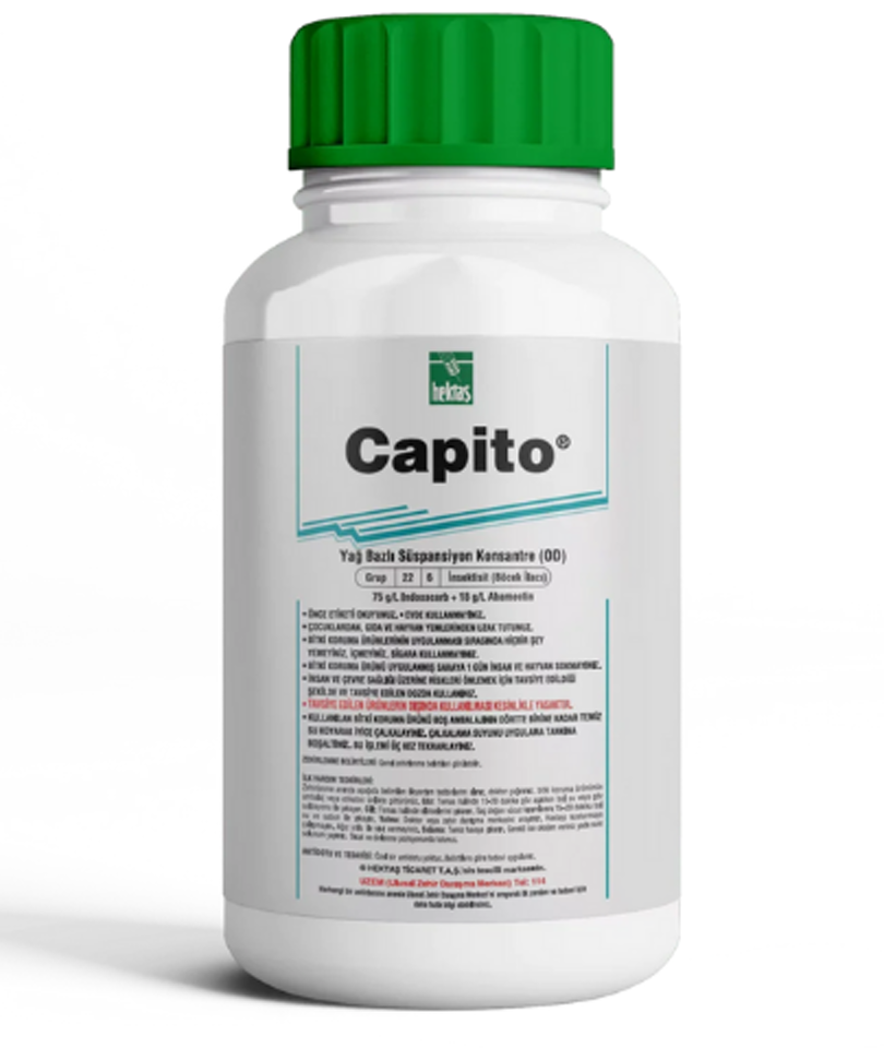 Capito