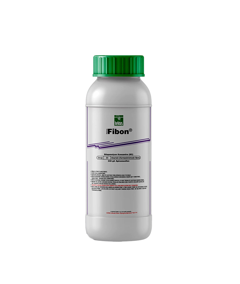 Fibon