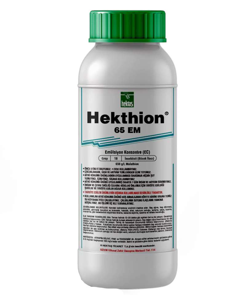 Hektion 65 EM