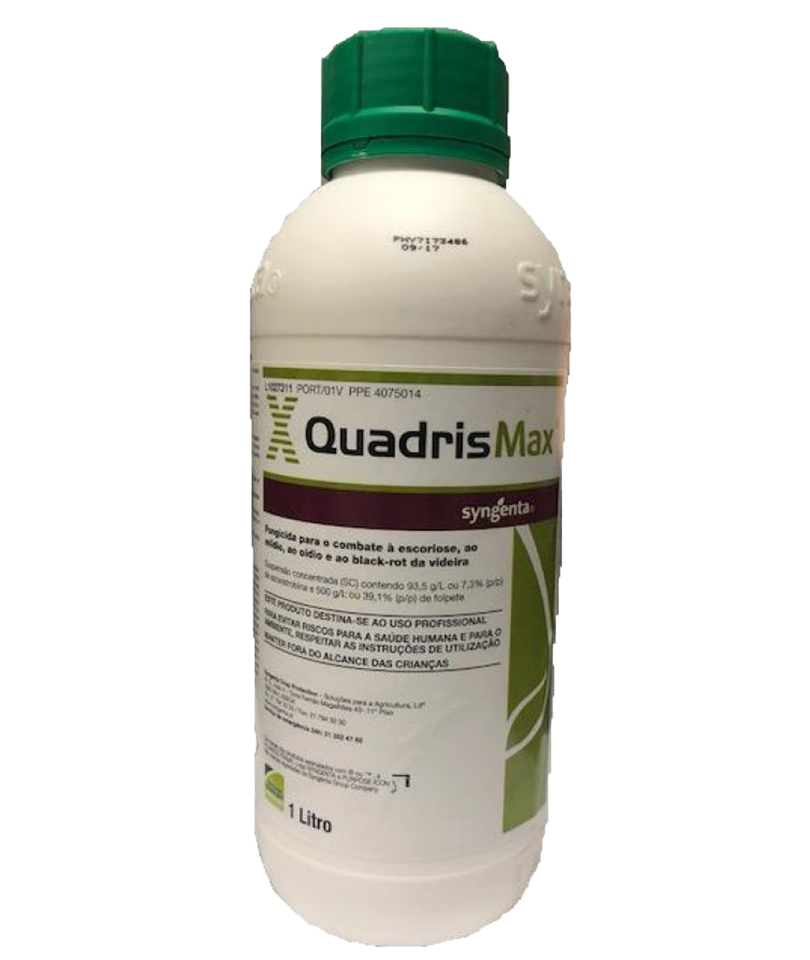 Quadris Max