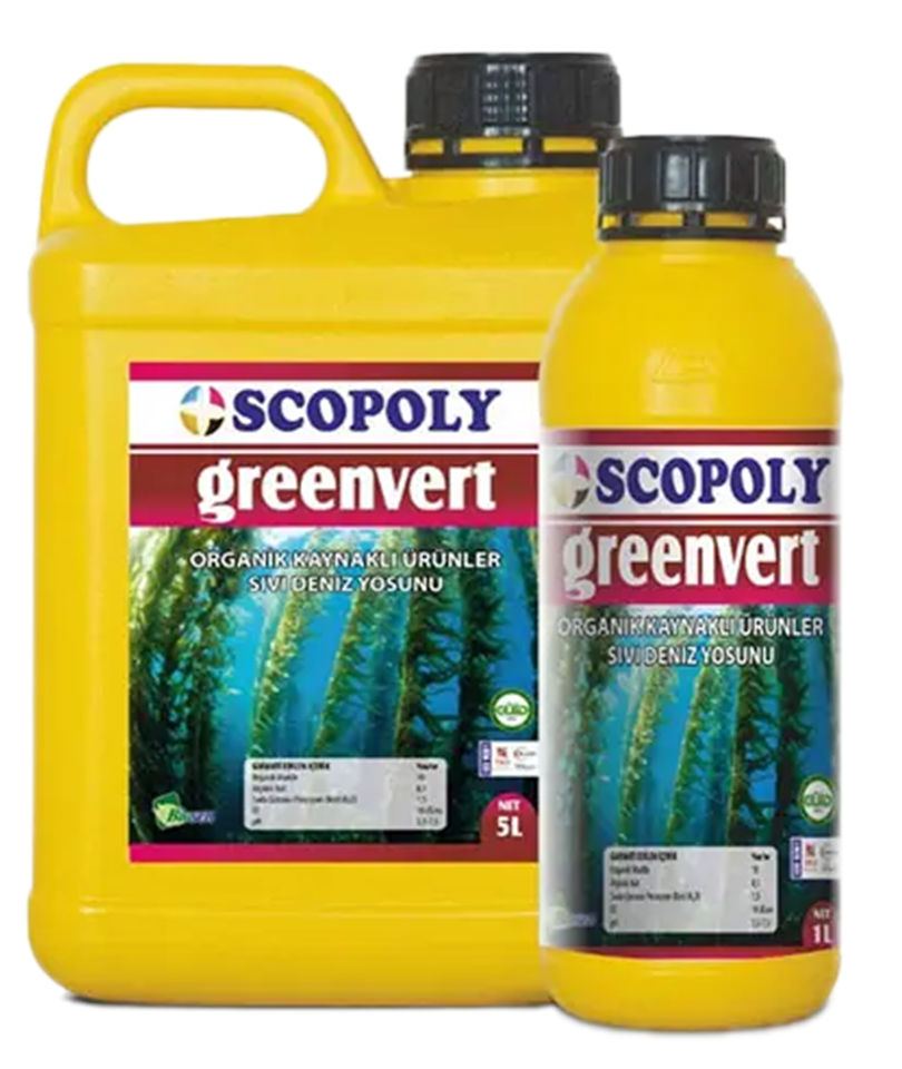 Scopoly Greenvert