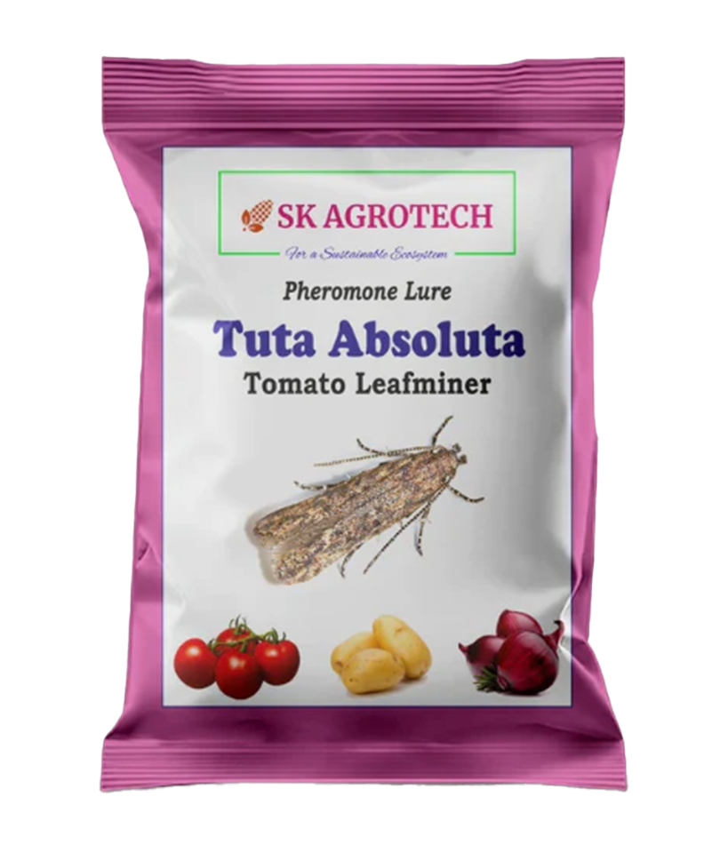 Tuta Apsolute Lure